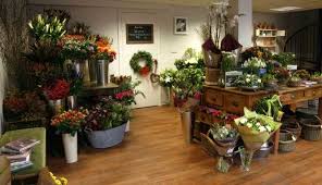 Jilland Com The Leading Jill And Site On The Net Flower Shop Interiors Flower Shop Flower Shop Display