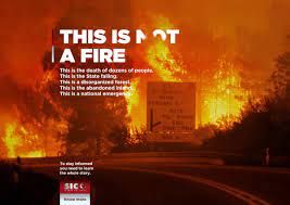 Sic notícias anteriormente cnl, é um canal temático de informação da estação de televisão portuguesa sic, fundada a 8 de janeiro de 2001. Sic Noticias Fire