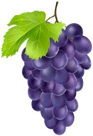 Black Grapes Png Clipart Grape Drawing Grapes Purple Grapes Fruit