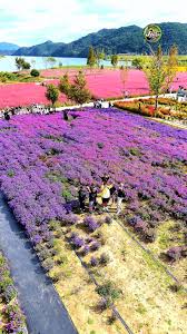 JUBA PAGES follow for follow