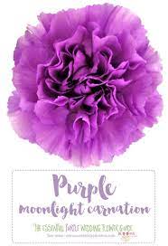 The Complete Guide To Purple Wedding Flowers Purple Flower Names Purple Wedding Flowers Inexpensive Wedding Flowers Lavender Wedding Flowers