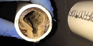 How To Properly Dispose Of Grease Cooking Oil Budget Dumpster