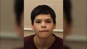 Sask. RCMP arrest man wanted for series of break-and-enters