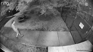Officer's Wife Found Dead: Newly Released Video Exposes the Untold 48 Hours Before Worcester Tragedy