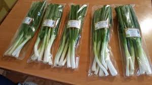 Seminte de legume,bulbi de arpagic pentru cultura in sere,solarii si camp deschis pentru fermieri profesionisti si gradinari amatori la cel mai bun pret pe semplus.ro,transport rapid oriunde in va oferim o gama variata de bulbi de arpagic, aceasta fiind denumirea corecta si nu seminte de arpagic. Primul Roman Care Vinde CeapÄƒ Verde Bio In Supermarketuri Nu InÈ›eleg De Ce Nu S A FÄƒcut PanÄƒ Acum Este O CulturÄƒ Relativ UÈ™oarÄƒ