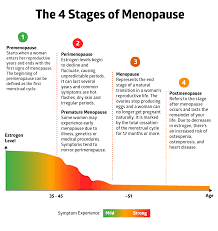 You officially enter menopause when it's been a full year since your last period, per the nih, but the symptoms start well before then, during a time known as perimenopause. Your Ultimate Guide To Menopause And Your Bones