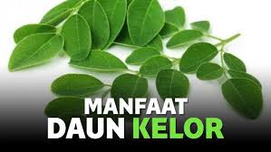 Antiksodan memiliki peran yang sangat besar (bahkan utama) dalam menjaga kesehatan dan keindahan kulit, bahkan juga berfungsi untuk pencegahan kanker kulit. Manfaat Daun Kelor Untuk Kesehatan Plus Cara Mengolahnya