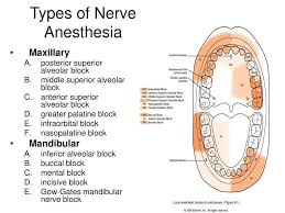 Related Image Dental Assistant Study Dental Hygiene Student Dental Hygienist Salary