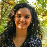 2500+ "Chinchilla" profiles