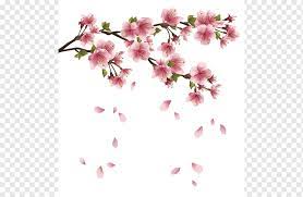 Maybe you would like to learn more about one of these? Pink Petal Falling Cherry Blossom Flower Blossom Petals Sakura Watercolor Painting Branch Twig Png Pngwing