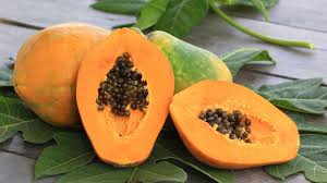 Image result for Carica papaya