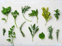 Dijon mustard, dried basil, pasta, vegetable broth, cauliflower florets and 14 more. Tasty Dishes With Fresh Oregano Sunset Magazine