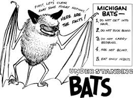 Dnr Bats