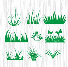 Download Grass Svg Cut File Free