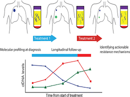Maybe you would like to learn more about one of these? Excerpts From The 1st International Ntnu Symposium On Current And Future Clinical Biomarkers Of Cancer Innovation And Implementation June 16th And 17th 2016 Trondheim Norway Springerlink