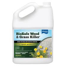 Grassy weeds can be controlled with applications of 2,4d+dicamba+quinclorac, foramsulfuron, amicarbazone, sethoxydim, fluazifop, and fenoxaprop.these may require repeat applications in order to take care of the weeds. Biosafe Weed Grass Killer Omri Listed