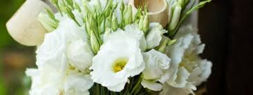 We did not find results for: 7 In Season Flowers For The November Bride Wedded Wonderland