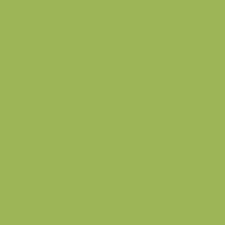 Peinture Mur Boiserie Radiateur Multisupports Luxens Bali 3 Satin 2 5 En 2020 Papier Peint Vert Fond D Ecran Colore Peinture Bois Exterieur