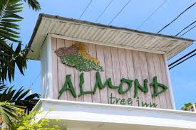 It's a great value compared to other nearby hotels, providing both free breakfast and a free happy hour. Almond Tree Inn Key West Aktualisierte Preise Fur 2021