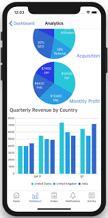 Dashboard Ios App Template