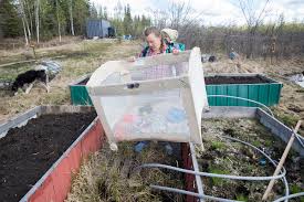How This Last Alaskans Couple Makes It Living Off The Grid