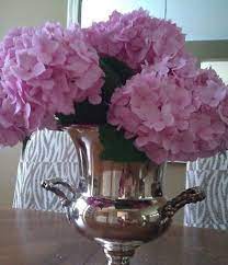 Pin On Hydrangeas
