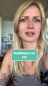 Dealing with Bumblebees in My Wall: Solutions and Tips