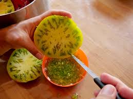 Faire Ses Graines De Tomates C Est Facile Au Refuge Des Graines