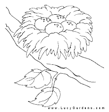 Download or print this coloring page in one click: Birds Of Africafree Coloring Page Page Humming Bird Bird Coloring Page Coloring Pages Bird Nest Bird Coloring Pages Coloring Pages Animal Coloring Pages