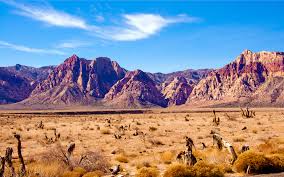 42 Arizona Desert Desktop