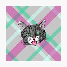 A great chubby amateur teen. Grey Cat Photographic Prints Redbubble