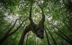 Exploring western north carolina through landscape photography