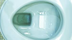 Deoarece stiu ca muraturile absorm bautura. De Ce N Ar Trebui SÄƒ VomiÈ›i Cand EÈ™ti Beat Mort