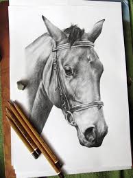 figure horse mare named specifically planta by me animals drawing horse pencil horses pencil drawing drawings p horse drawings horse art animal art