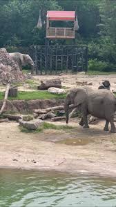 I believe that God created the world and everything in it. From the sun and  stars to the animals and trees. Teach your kids to enjoy creation at the  zoo or in your backyard while praising and ...