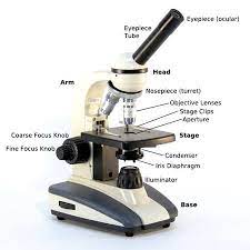 It is basically a spinning wheel with different diameter openings. Compound Microscope Parts
