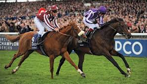 Best Horse Racing Betting Sites In India Bet In Indian Rupees Online players generally are offered better player rewards, including free past performances, deposit bonuses, and more importantly rebates. online casino