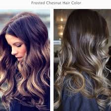 Mix each of the colour cremes, 70 dark natural blonde and 90 light natural blonde, with their developer bottles. Frosted Chestnut Hair Colour Autumn Winter 2014 Colour Inspiration Hair Color Pictures Frosted Hair Dark Brown Hair Color
