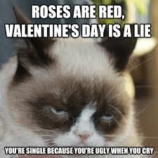What happens on this day? 11 Grumpy Cat Anti Valentine S Day Memes Surviving College