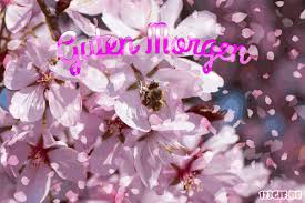 Find gifs with the latest and. Tenor Gif Liebesbotschaften Guten Morgen Gifs Tenor Access Gifs You Uploaded Anytime From Tenor Products Including Tenor Website And Gif Keyboard