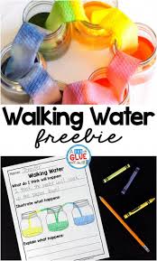 Walking Water Science Activity For Kids Elementary Science Experiments Science Activities For Kids Water Science Experiments