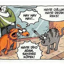 pin on komik karikaturler