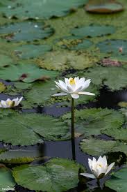 Pin On Design Resources The Bible Edition