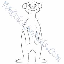 Pypus is now on the social networks, follow him and get latest free coloring pages and much more. Meerkat Coloring Pages