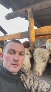 Как Изменить Цвет Питомца В Том 2