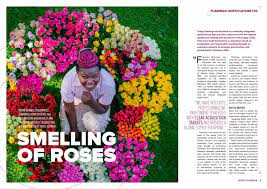 Tomblaker Author At Flamingo