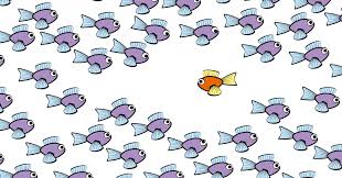 Status quo (plural status quos). The Status Quo Sucks Narrative Science