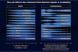 Ph And Ec In Marijuana Growing Blog Philosopher Seeds