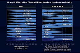 ph and ec in marijuana growing blog philosopher seeds