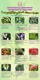 Animal, bird, tree, emblem, fruit and flower previous videos. Government Of Tamil Nadu Department Of Environment